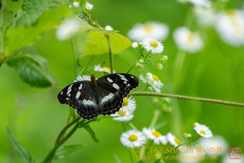 ../Images/7R240707 (180).jpg